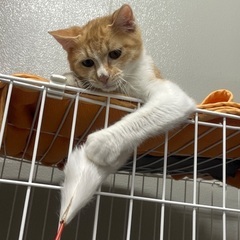 まだまだ子供で甘えん坊くん🎵