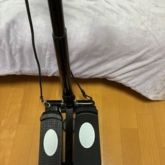 ステッパーの画像