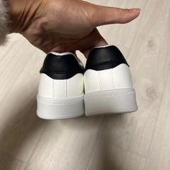 ダッフィー柄の靴の画像