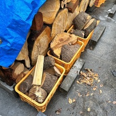 桜のコロ薪の画像