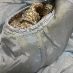 rosee parfum ツイードジャケット ベージュ系 size 11号の画像