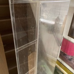 アクリル水槽 水槽 スリムタイプ スリム水槽 アクリル 140 140cm スリム 薄型 ロータイプの画像