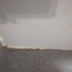 本棚　鏡面仕上げ　ブックシェルフ　コレクションケースの画像