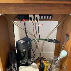 生体数匹+ADA60cm水槽+照明など一式の画像