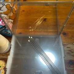 ハムスター、モルモット小動物飼育セットの画像