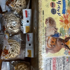 ハムスター、モルモット小動物飼育セットの画像