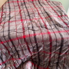 こたつ（こたつ布団付き）の画像