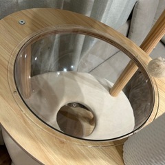 PETEPERA ペテペラ　キャットタワー　宇宙船付きの画像