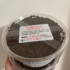 カブトムシ 幼虫の画像