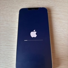 iPhone12mini 【極美品】の画像