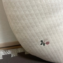 ロトトクッションの画像