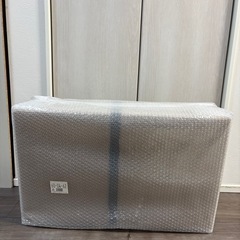 新品未開封！BALMUDA The Plate Proの画像