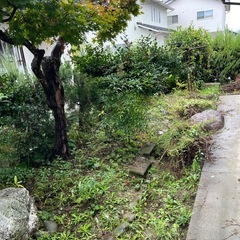 庭の残土を差し上げますの画像