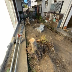 庭の残土を差し上げますの画像