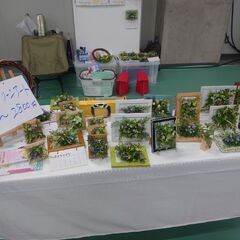 グリーンアートの画像