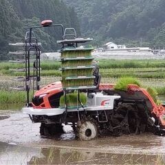 おいしいお米　ヒノヒカリ　玄米30kg　令和7年産　 取引場所　熊本インターチェンジ近く③の画像