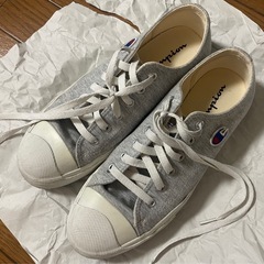 24.5cm チャンピオンの靴の画像