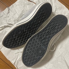 24.5cm チャンピオンの靴の画像