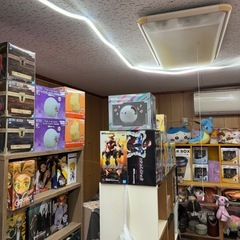 今日限定　ライト　500円の画像