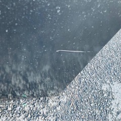 ♦MITSUBISHI ノンフロン冷凍冷蔵庫【2015年製】MR-P15Z-B1の画像