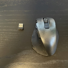 マウスの画像
