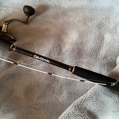 ダイワ紅牙TENYA  GAME（MH-240）の画像