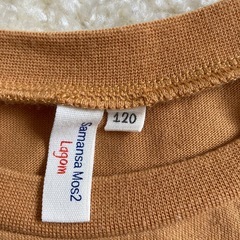 １２０　テイシャツの画像