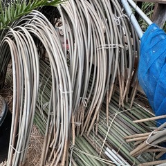 トンネルハウス！の画像