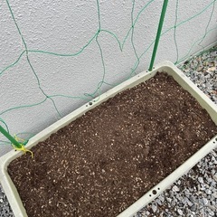 ベジタブルプランター2つ土、支柱付きでの画像