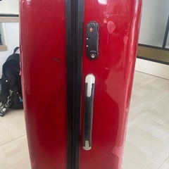 キャリーバッグの画像