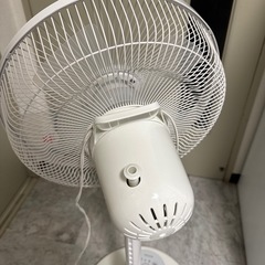 アイリスオーヤマ　扇風機の画像