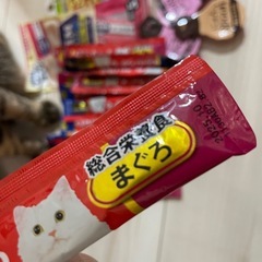 猫用エサの画像