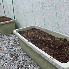 ベジタブルプランター2つ土、支柱つきの画像