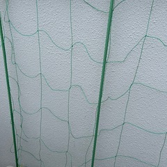 ベジタブルプランター2つ土、支柱つきの画像