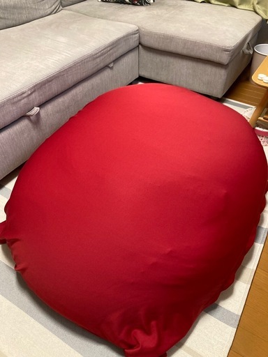超特大ビーズクッション　王様もダメになるもちクッション