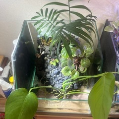 滝の流れるアクアリウム水槽　全面斜めカットの希少品の画像