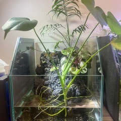 滝の流れるアクアリウム水槽　全面斜めカットの希少品の画像