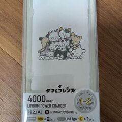 モバイルバッテリー2の画像