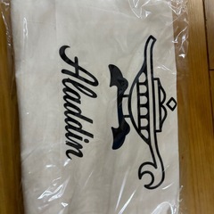 アラジンストーブの画像