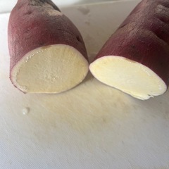 🍠サツマイモ🍠芋🍠さつまいも🍠の画像