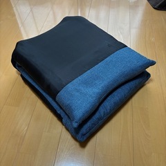 座椅子　アイリスプラザ　リクライニングの画像