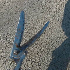 ルス? 190ZTR-3.1-5D 伸縮高枝切りバサミ ズームチョキチルト? 柿もぎ 柿収穫 伸ばして柿もげました 中古品 現状品の画像