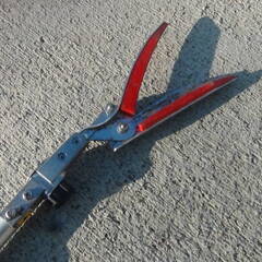 ルス? 190ZTR-3.1-5D 伸縮高枝切りバサミ ズームチョキチルト? 柿もぎ 柿収穫 伸ばして柿もげました 中古品 現状品の画像