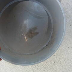 超特大の塩ビ管のエルボ VUDL300 DIYや工作などに 中古品 現状品の画像