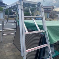 株､ナカオ・勇馬・立馬の画像