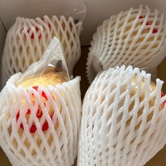 岡山県鴨梨1個の画像