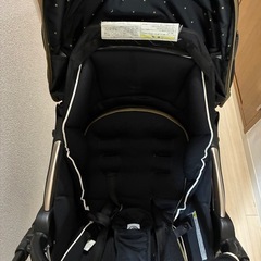 ベビーカー　ソラリア2014
の画像