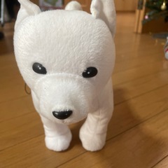 ソフトバンク犬　の画像