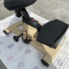 東急スポーツ　オアシスステッパー
の画像