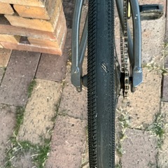 SE Racing MINI RIPPER BMXレーサー 20インチ キッズ用 の画像